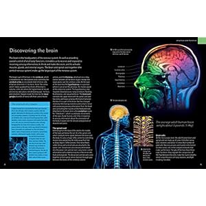 The Brain Book: Development, Function, Disorder, Health