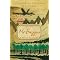 The essential Tolkien list