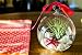 Hinterland Trading Mother's Day Gift Air Plant Tillandsia Pink Starfish Seashell Glass Hanging Terrarium Kit Beautiful Houseplant