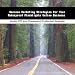 Book Success Marketing Strategies For Your Waterproof Flashlights Online Business