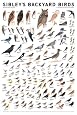 Sibley`s Backyard Birds: Western North America