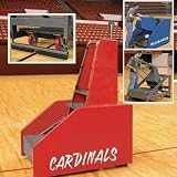 Bison Arena Portable VB System(Price/Set)(please ask for shipping)
