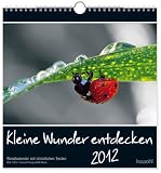 Kleine Wunder entdecken 2012 - 