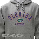 Florida Gators Colosseum Ash Hoodie