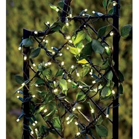Buy 200-Bulb Solar-Powered String Accent Lights, in White by Plow & Hearth now!