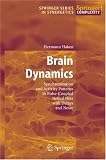 Brain Dynamics: Synchronization and Activity Patterns in Pulse-Coupled Neural Nets with Delays and Noise (Springer Series in Synergetics)