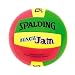 Sporting Goods : Spalding Islander Volleyball (Multicolor)