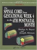 Atlas of Human Central Nervous System Development -5 Volume Set: The Spinal Cord from Gestational Week 4 to the 4th Postnatal Month (v. I)