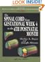 Atlas of Human Central Nervous System Development -5 Volume Set: The Spinal Cord from Gestational Week 4 to the 4th Postnatal Month (v. I)