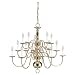 Sea Gull Lighting 3414-02 Fifteen-Light Traditional Chandelier, Polished Brass Finish with Optional Shades
