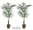 TWO 8' Artificial Tropical Kentia Palm Trees, with No Pot,