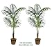 TWO 8' Artificial Tropical Kentia Palm Trees, with No Pot,