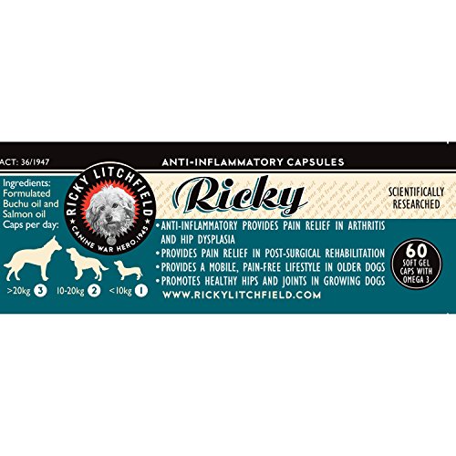 Arthritis Pain Relief for Dogs Natural Herbal Remedies with