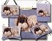 Pekingese Dogs Cotton Tapestry Throw Blanket #MW