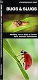 Bugs & Slugs: A Folding Pocket Guide to Familiar North American Invertebrates (Pocket Naturalist Guide Series)