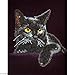 Diamond Dotz Intermediate Kit Midnight Cat - Diamond Embroidery Painting by Numbers (DD5.001)