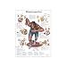 3B Scientific Glossy Paper Sports Injuries Anatomical Chart