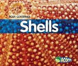 Shells