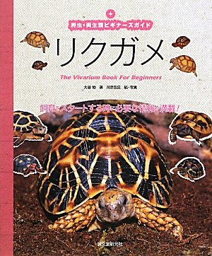 リクガメ―爬虫・両生類ビギナーズガイド