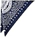 Pendleton Men's Bandana