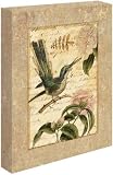 Collage Naturel II by Philippa Katz - Gallery Wrapped Giclee Canvas Art
