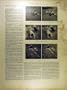 1901 Annecy Swimming Life-Saving Swim French Print