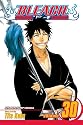 Bleach Volume 30
