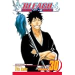 Bleach Vol