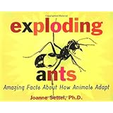 exploding ants amazing facts about how animals adapt