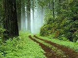 An Old Flame (a short scary story)