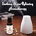 Rosemary Essential Oil by AromaOils - 1 oz (30 ml) - Best Used Now for Aromatherapy, Pain Relief, Stress Management, DIY Skincare and Hair Growth - 100% Pure Therapeutic Grade