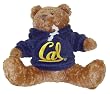 California Hoodie Bears California Hoodie Bears
