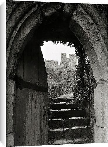 Canvas Prints of Allington Castle 10116 from Country Life 