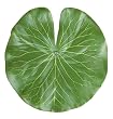 Artificial Lily Pads