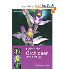 Heimische Orchideen in Wort und Bild