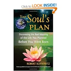 Your Soul's Plan: Discovering the Real Meaning of the Life You Planned Before You Were Born