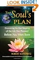 Your Soul's Plan: Discovering the Real Meaning of the Life You Planned Before You Were Born