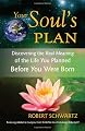 Your Soul's Plan: Discovering the Real Meaning of the Life You Planned Before You Were Born