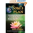 Your Soul's Plan: Discovering the Real Meaning of the Life You Planned Before You Were Born by Robert Schwartz