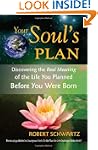 Your Soul's Plan: Discovering the Rea...