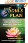 Your Soul's Plan: Discovering the Real Meaning of the Life You Planned Before You Were Born
