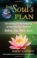 Your Soul's Plan: Discovering the Real Meaning of the Life You Planned Before You Were Born