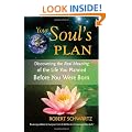Your Soul's Plan: Discovering the Real Meaning of the Life You Planned Before You Were Born