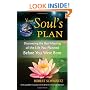 Your Soul's Plan: Discovering the Real Meaning of the Life You Planned Before You Were Born