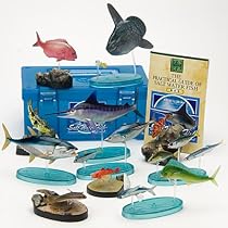 立体図鑑リアルフィギュアボックス　ソルトウォーターフィッシュ （日本の海水魚）