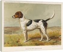 16 Inch Box Canvas (40cm) FOXHOUND (BOOK OF DOG) by Mary Evans