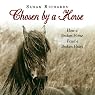 Chosen by a Horse: How a Broken Horse Fixed a Broken Heart