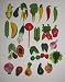 25 Piece Set Hand Made Decorative Fruit and Vegetable Fridge Magnets 1.5