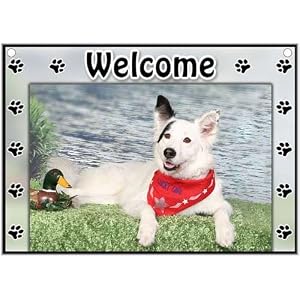 Border Collie Welcome Sign