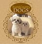 Town & Country Dogs